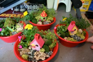 indoor-fairy-garden-container-ideas