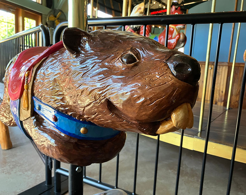 Chuck the Beaver
