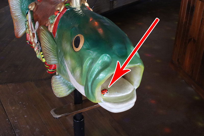 Lady Bug in Flippers Mouth