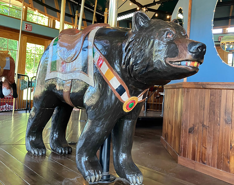 Paws the American Black Bear